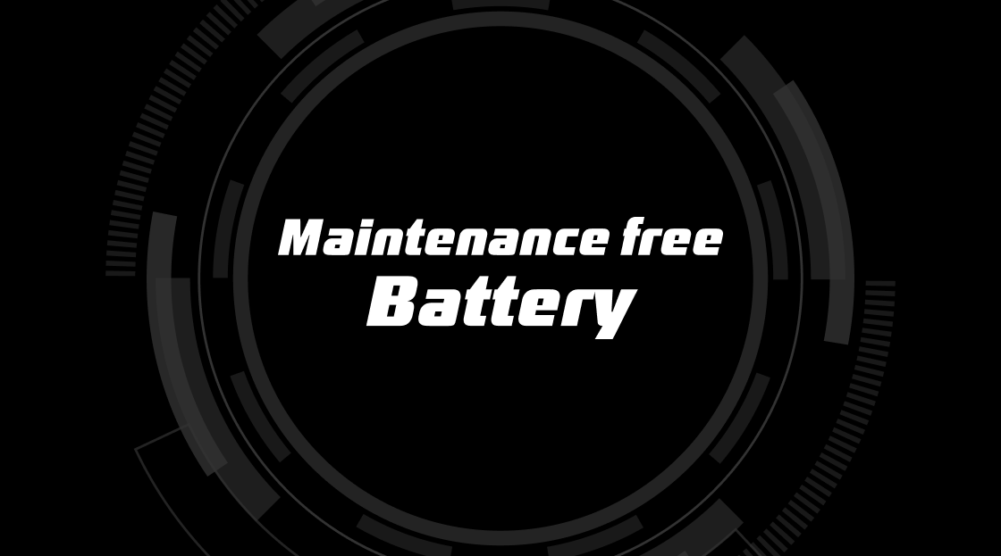 Honda Unicorn maintenance free battery